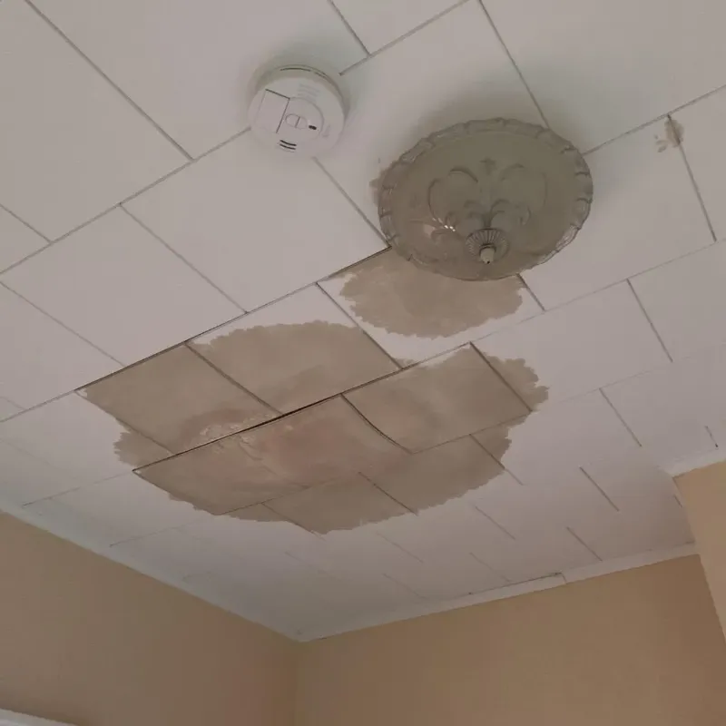 Ceiling Water Damage Repair in Long Beach, MD